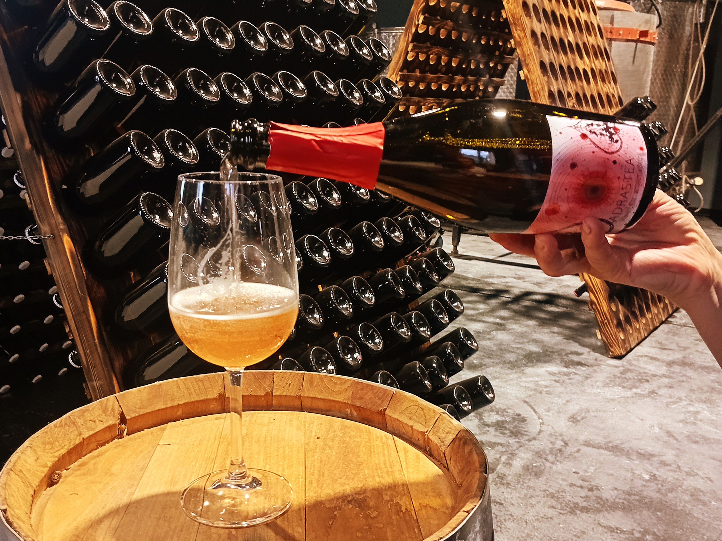 images/sampledata/Cantina%20Vino.jpg#joomlaImage://local-images/sampledata/Cantina Vino.jpg?width=2390&height=1792